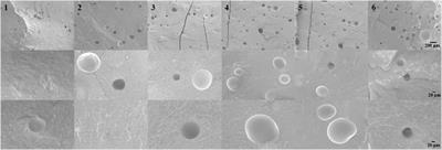 Antibacterial bone cement modified by long-chain nitrofuran methacrylate using liquid-phase modification strategy